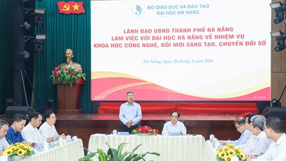 សាកលវិទ្យាល័យដាណាំងពង្រឹងការតភ្ជាប់ "រដ្ឋ - សាកលវិទ្យាល័យ - សហគ្រាស"។