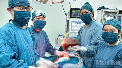 Khanh Hoa: Successful surgery to remove nearly 4kg of phyllodes breast tumor.