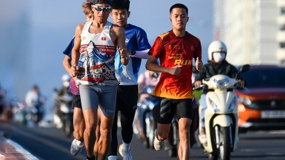 Khanh Hoa: Más de 12.000 atletas participan en la Maratón de Tien Phong 2026.