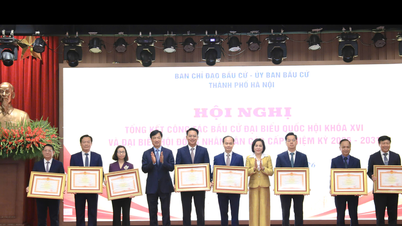Hanoi résume le travail d'élection des députés à la 16e Assemblée nationale et des députés aux conseils populaires à tous les niveaux pour le mandat 2026-2031.