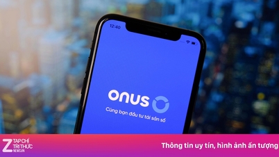 El precio de ONUS se desploma, alcanzando un mínimo histórico.