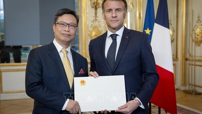 L'ambassadeur vietnamien Trinh Duc Hai présente ses lettres de créance au président français Emmanuel Macron.