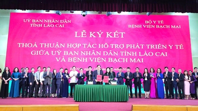 Lao Cai memperkuat hubungan dengan Rumah Sakit Bach Mai untuk meningkatkan kualitas layanan kesehatan secara keseluruhan.