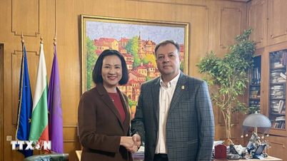 វៀតណាម និងប៊ុលហ្គារី ជំរុញកិច្ចសហប្រតិបត្តិការក្នុងតំបន់។