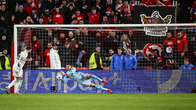 Irish fans demand an investigation into the "alarm whistle" during the penalty shootout against the Czech Republic.