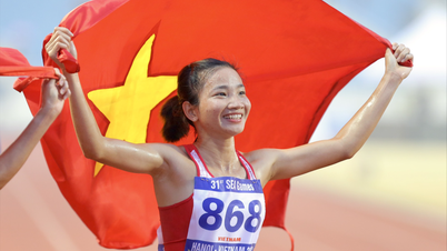 80 ans de sport vietnamien : des réalisations remarquables sur la scène internationale