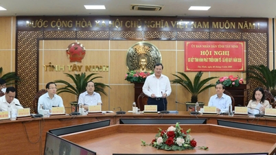 Tay Ninh creates momentum for breakthrough from socio-economic "bright spots" in Q1/2026.