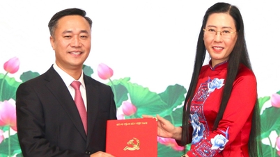 İnşaat Bakan Yardımcısı Nguyen Viet Hung, Khanh Hoa İl Parti Komitesi Başkan Yardımcılığı görevini üstlendi.