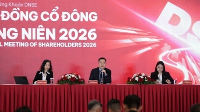 DNSE Shareholders' Meeting: Ready for T+0 trading, setting ambitious targets for 2026.