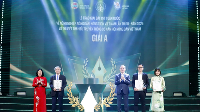 A „Mezőgazdaság, gazdálkodók és vidéki területek” témájú 4. Újságírói Díj 50 díjjal bővül, amelyek összértéke meghaladja az 530 millió vietnami dongot.