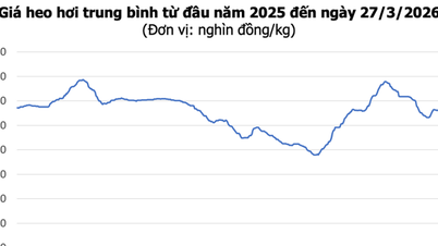 Fläskpriser den 27 mars: Något minskat i de norra och centrala regionerna, högsta priset når 69 000 VND/kg.