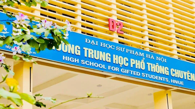 សាលាឯកទេសដែលមានទំនាក់ទំនងជាមួយសាកលវិទ្យាល័យអប់រំបានបង្កើនចំនួនសិស្សចុះឈ្មោះចូលរៀនសម្រាប់ថ្នាក់ទី១០។