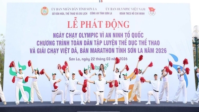 Mempromosikan gerakan "Semua orang berlatih fisik mengikuti teladan Presiden Ho Chi Minh yang agung" dalam situasi baru ini.
