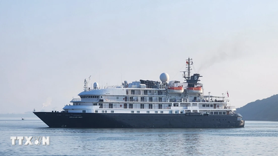 Gia Lai: Segundo navio de cruzeiro internacional atraca no porto de Quy Nhon este ano.