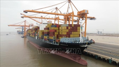 Businesses shift their strategy to maintain export growth.