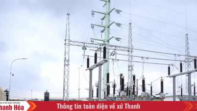 Elektricitet – en strategisk hävstång för att driva Thanh Hoas industriella genombrott.