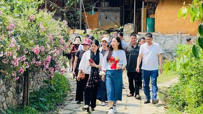 Tuyen Quang eyaletinde topluluk turizminin geliştirilmesine ilişkin deneyimlerin paylaşılması.