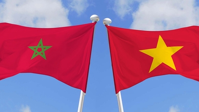 Vietnam ve Fas arasında diplomatik ilişkilerin kurulmasının 65. yıl dönümü münasebetiyle tebrik mesajı.