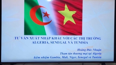 La Oficina Comercial de Vietnam en Argelia presta apoyo a las empresas que exportan a África.