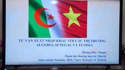 Das vietnamesische Handelsbüro in Algerien verstärkt seine Marktinformationsdienste für vietnamesische Unternehmen.