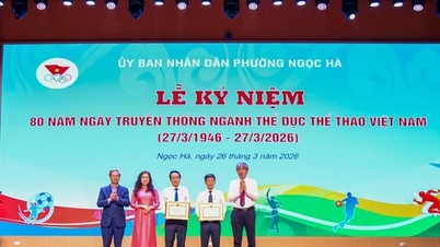 Ngoc Ha Ward gör genombrott inom idrottsrörelsen och skapar en ny grund för utveckling.