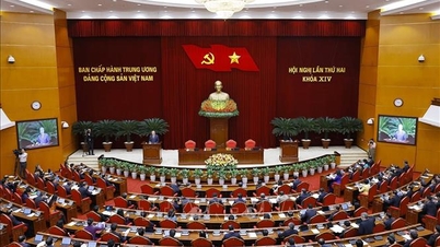 Δεύτερη Συνεδρίαση της Κεντρικής Επιτροπής: Η εφαρμογή παίζει καθοριστικό ρόλο.