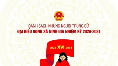 2026년부터 2031년까지 닌자 면 인민위원회에 선출된 대표자 명단.