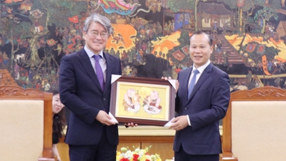 A vice-presidente permanente do Comitê Popular Provincial, Mai Son, recebe a delegação da província de Jeonbuk, na Coreia do Sul.