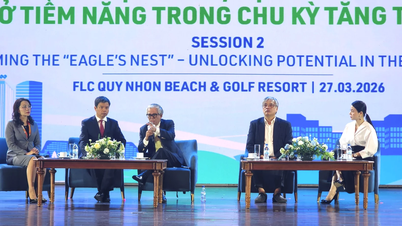 Gia Lai 2026: Kích hoạt trục Biển-Cao nguyên