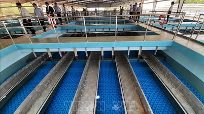 Ho Chi Minh-byen: Vannbehandlingsanlegget er under vedlikehold, og vannforsyningen til mange områder er midlertidig stanset.