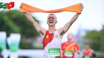 Veteran runner shares strategy for conquering the 42km at the Tien Phong Marathon 2026.