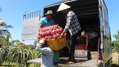 Meningkatkan kapasitas kepatuhan dan produksi pertanian berkelanjutan untuk memenuhi standar Uni Eropa.