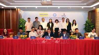 Da Nang, 6 uluslararası kuruluştan yaklaşık 70 milyar VND tutarında yardım sağladı.