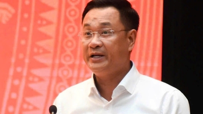Secretarul partidului din Da Nang cere încetarea „muncii fără tragere de inimă și a eschivării responsabilității”.