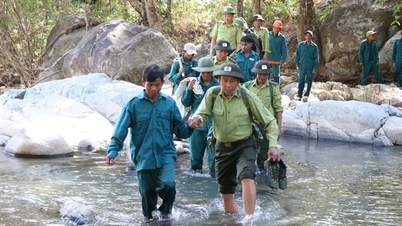 La provincia de Khanh Hoa está implementando una amplia gama de soluciones para prevenir y controlar los incendios forestales.