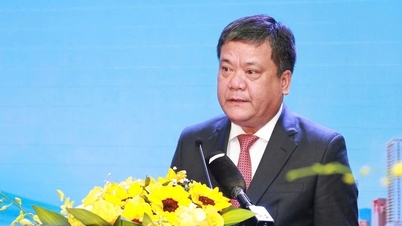 Bapak Tran Phong terpilih sebagai Sekretaris Komite Partai Provinsi Khanh Hoa.