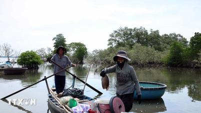 Le Vietnam et la Banque mondiale promeuvent la coopération dans les domaines des ressources en eau, de l'agriculture et de l'environnement.