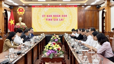 O presidente do Comitê Popular Provincial, Pham Anh Tuan, trabalha com empresas em investimentos no projeto do Centro de Dados.