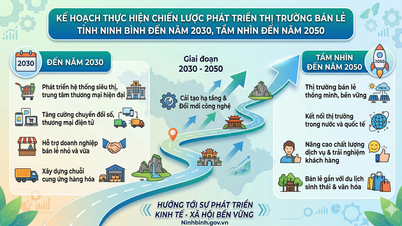 Implementation Plan for the Retail Market Development Strategy to 2030, with a vision to 2050, in Ninh Binh Province.