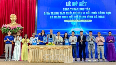 Ca Mau s'engage à mettre en œuvre 5 solutions pour promouvoir l'entrepreneuriat et l'innovation.