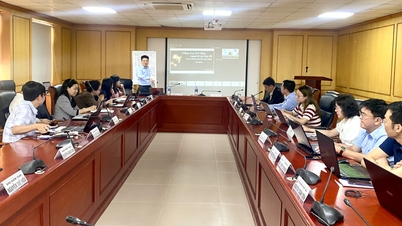 Professional training in journalism on organizing, operating, and managing change in converged newsrooms for nearly 30 participants - Cao Bang Online Newspaper.