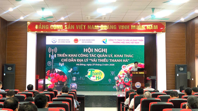 Triển khai công tác quản lý, khai thác chỉ dẫn địa lý “Vải thiều Thanh Hà”