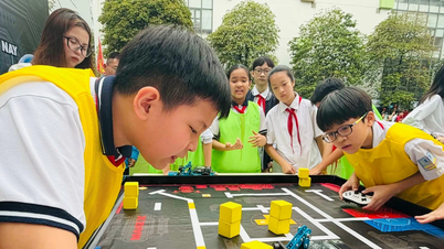 छात्र STEM - AI - रोबोटिक्स प्रतियोगिता में रोबोटिक्स के क्षेत्र में प्रतिस्पर्धा करते हैं।