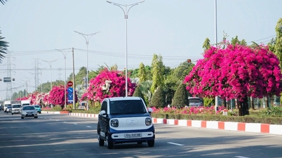À Hô Chi Minh-Ville, les fleurs de bougainvillier colorent en rose la route menant à la plage.
