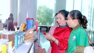 Ca Mau elevates the quality of OCOP products.