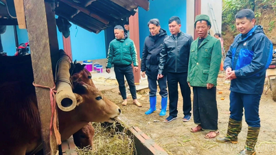 ឃុំហាញភុក៖ សមតុល្យឥណទានគោលនយោបាយដែលមិនទាន់បានទូទាត់ឈានដល់ ១៣៧,៨៦៨ លានដុង។