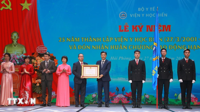 Vu Hong Thanh, a Nemzetgyűlés alelnöke részt vett a Tengerészeti Orvostudományi Intézet 25. évfordulójának ünnepségén.