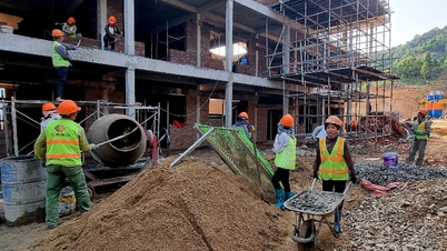 Focus all efforts on construction.
