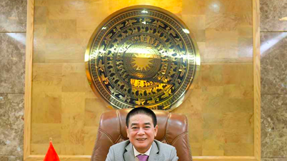 Nu de heer Nguyen Van Dong is aangeklaagd, hoe opereert de Rang Dong Group in de voormalige provincie Binh Thuan?