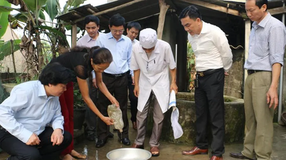 Dengue fever and hand, foot, and mouth disease outbreaks are surging; the Ministry of Health has issued urgent directives.
